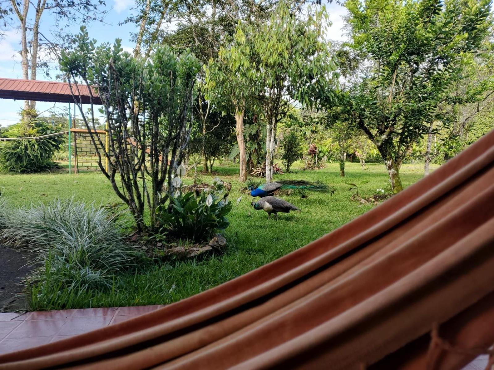 Hotel La Quinta De Andres San Isidro  Exteriér fotografie