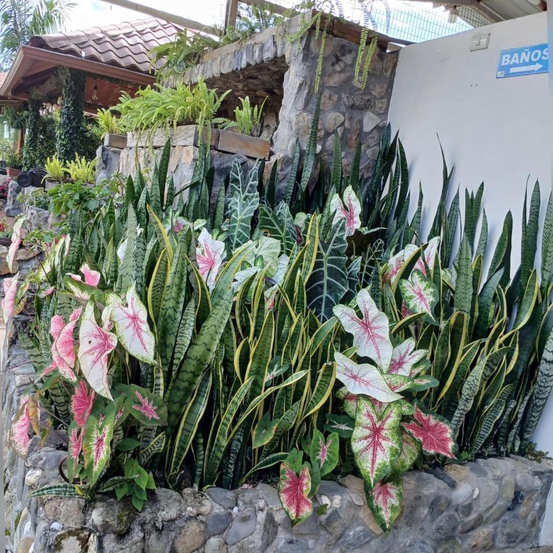 Hotel La Quinta De Andres San Isidro  Exteriér fotografie